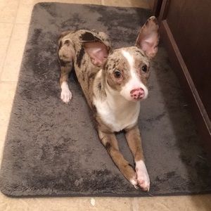 Meet your Posher, Meagan